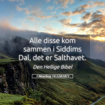 Picture 05 - 1 Mosebog 14:3 DA1871 - Alle disse kom sammen i Siddims Dal, det er - Bible Verse Picture