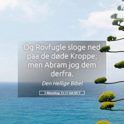 Picture 05 - 1 Mosebog 15:11 DA1871 - Og Rovfugle sloge ned paa de døde Kroppe; men - Bible Verse Picture