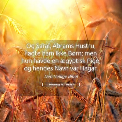 Picture 05 - 1 Mosebog 16:1 DA1871 - Og Sarai, Abrams Hustru, fødte ham ikke Børn; - Bible Verse Picture