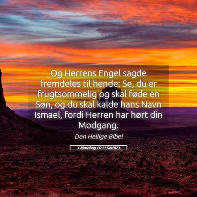 Picture 05 - 1 Mosebog 16:11 DA1871 - Og Herrens Engel sagde fremdeles til hende: Se, - Bible Verse Picture
