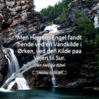 Picture 05 - 1 Mosebog 16:7 DA1871 - Men Herrens Engel fandt hende ved en Vandkilde i - Bible Verse Picture