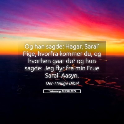 Picture 05 - 1 Mosebog 16:8 DA1871 - Og han sagde: Hagar, Sarai' Pige, hvorfra kommer - Bible Verse Picture