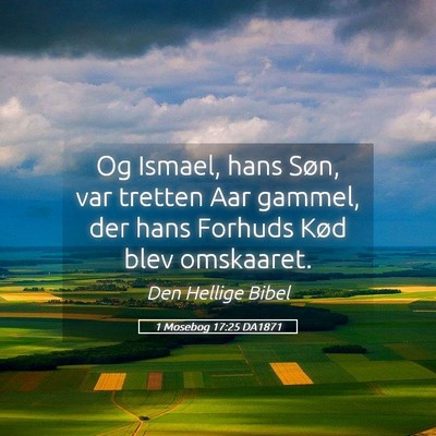Picture 05 - 1 Mosebog 17:25 DA1871 - Og Ismael, hans Søn, var tretten Aar gammel, der - Bible Verse Picture