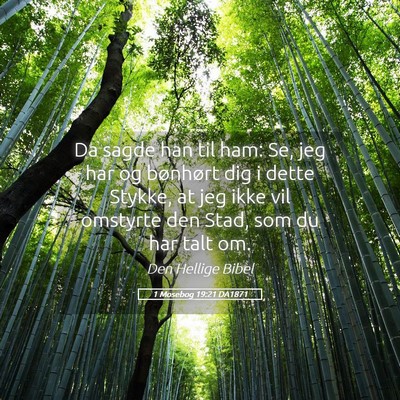 Picture 05 - 1 Mosebog 19:21 DA1871 - Da sagde han til ham: Se, jeg har og bønhørt - Bible Verse Picture