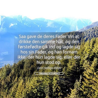 Picture 05 - 1 Mosebog 19:33 DA1871 - Saa gave de deres Fader Vin at drikke den samme - Bible Verse Picture