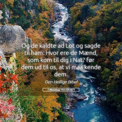 Picture 05 - 1 Mosebog 19:5 DA1871 - Og de kaldte ad Lot og sagde til ham: Hvor ere de - Bible Verse Picture