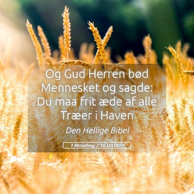 Picture 05 - 1 Mosebog 2:16 DA1871 - Og Gud Herren bød Mennesket og sagde: Du maa - Bible Verse Picture
