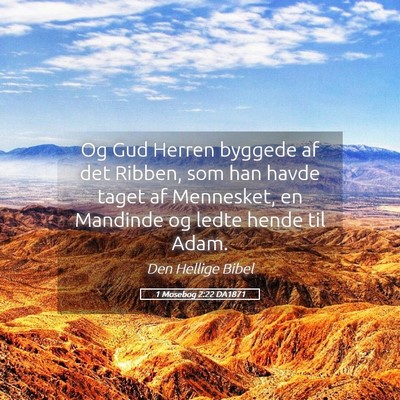 Picture 05 - 1 Mosebog 2:22 DA1871 - Og Gud Herren byggede af det Ribben, som han - Bible Verse Picture