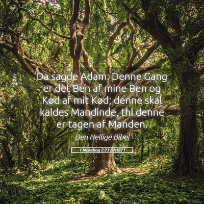 Picture 05 - 1 Mosebog 2:23 DA1871 - Da sagde Adam: Denne Gang er det Ben af mine Ben - Bible Verse Picture