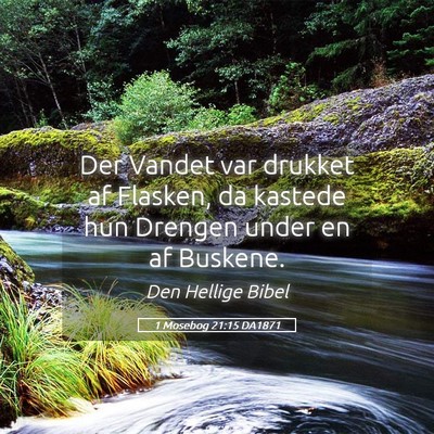 Picture 05 - 1 Mosebog 21:15 DA1871 - Der Vandet var drukket af Flasken, da kastede hun - Bible Verse Picture
