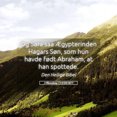 Picture 05 - 1 Mosebog 21:9 DA1871 - Og Sara saa Ægypterinden Hagars Søn, som hun - Bible Verse Picture