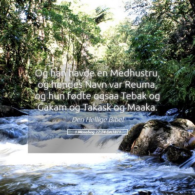 Picture 05 - 1 Mosebog 22:24 DA1871 - Og han havde en Medhustru, og hendes Navn var - Bible Verse Picture