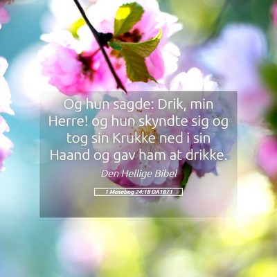 Picture 05 - 1 Mosebog 24:18 DA1871 - Og hun sagde: Drik, min Herre! og hun skyndte sig - Bible Verse Picture