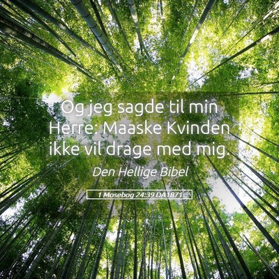 Picture 05 - 1 Mosebog 24:39 DA1871 - Og jeg sagde til min Herre: Maaske Kvinden ikke - Bible Verse Picture