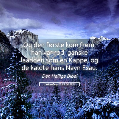 Picture 05 - 1 Mosebog 25:25 DA1871 - Og den første kom frem, han var rød, ganske - Bible Verse Picture