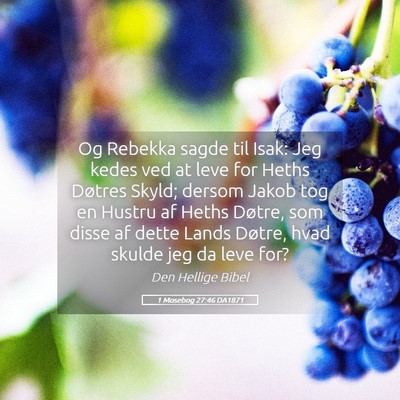 Picture 05 - 1 Mosebog 27:46 DA1871 - Og Rebekka sagde til Isak: Jeg kedes ved at leve - Bible Verse Picture