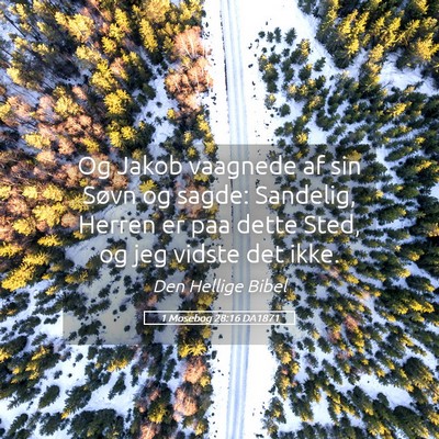 Picture 05 - 1 Mosebog 28:16 DA1871 - Og Jakob vaagnede af sin Søvn og sagde: - Bible Verse Picture