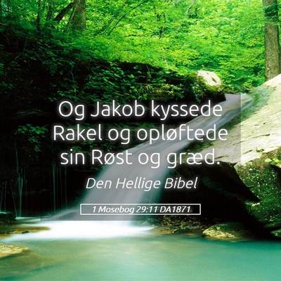 Picture 05 - 1 Mosebog 29:11 DA1871 - Og Jakob kyssede Rakel og opløftede sin Røst og - Bible Verse Picture