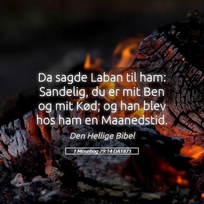 Picture 05 - 1 Mosebog 29:14 DA1871 - Da sagde Laban til ham: Sandelig, du er mit Ben - Bible Verse Picture