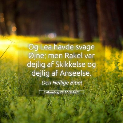 Picture 05 - 1 Mosebog 29:17 DA1871 - Og Lea havde svage Øjne; men Rakel var dejlig af - Bible Verse Picture