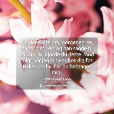 Picture 05 - 1 Mosebog 29:25 DA1871 - Og det skete om Morgenen, se, da var det Lea; og - Bible Verse Picture