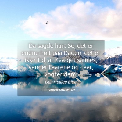 Picture 05 - 1 Mosebog 29:7 DA1871 - Da sagde han: Se, det er endnu højt paa Dagen, - Bible Verse Picture
