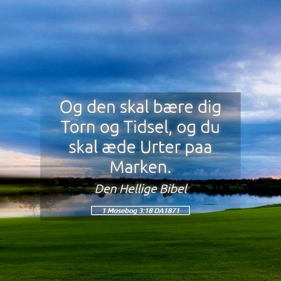 Picture 05 - 1 Mosebog 3:18 DA1871 - Og den skal bære dig Torn og Tidsel, og du skal - Bible Verse Picture