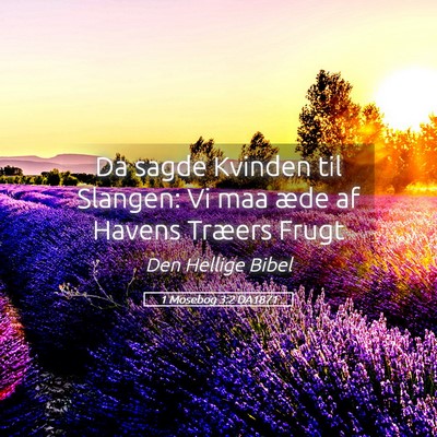 Picture 05 - 1 Mosebog 3:2 DA1871 - Da sagde Kvinden til Slangen: Vi maa æde af - Bible Verse Picture