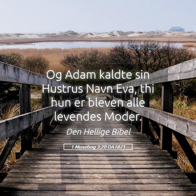Picture 05 - 1 Mosebog 3:20 DA1871 - Og Adam kaldte sin Hustrus Navn Eva, thi hun er - Bible Verse Picture