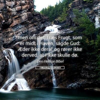 Picture 05 - 1 Mosebog 3:3 DA1871 - men om det Træs Frugt, som er midt i Haven, - Bible Verse Picture