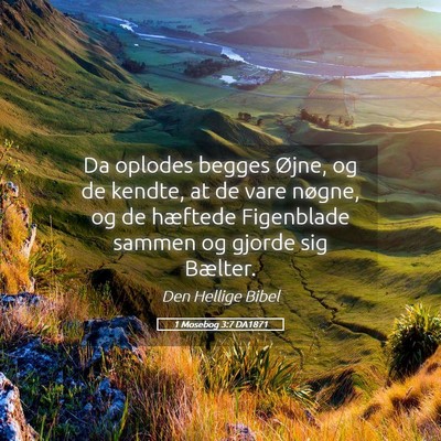 Picture 05 - 1 Mosebog 3:7 DA1871 - Da oplodes begges Øjne, og de kendte, at de vare - Bible Verse Picture