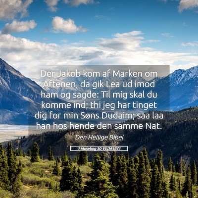 Picture 05 - 1 Mosebog 30:16 DA1871 - Der Jakob kom af Marken om Aftenen, da gik Lea ud - Bible Verse Picture