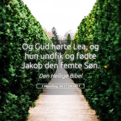 Picture 05 - 1 Mosebog 30:17 DA1871 - Og Gud hørte Lea, og hun undfik og fødte Jakob - Bible Verse Picture