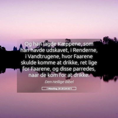 Picture 05 - 1 Mosebog 30:38 DA1871 - Og han lagde Kæppene, som han havde udskavet, i - Bible Verse Picture