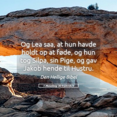 Picture 05 - 1 Mosebog 30:9 DA1871 - Og Lea saa, at hun havde holdt op at føde, og - Bible Verse Picture