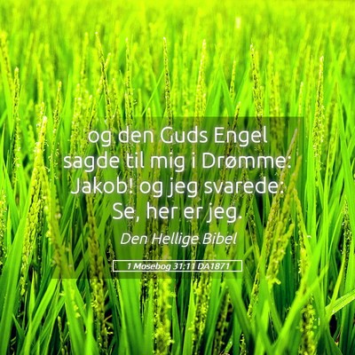 Picture 05 - 1 Mosebog 31:11 DA1871 - og den Guds Engel sagde til mig i Drømme: Jakob! - Bible Verse Picture