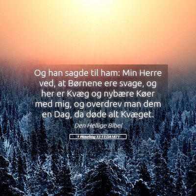 Picture 05 - 1 Mosebog 33:13 DA1871 - Og han sagde til ham: Min Herre ved, at Børnene - Bible Verse Picture