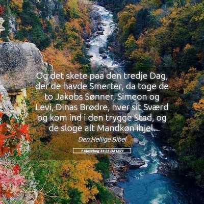 Picture 05 - 1 Mosebog 34:25 DA1871 - Og det skete paa den tredje Dag, der de havde - Bible Verse Picture