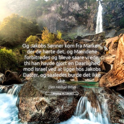 Picture 05 - 1 Mosebog 34:7 DA1871 - Og Jakobs Sønner kom fra Marken, der de hørte - Bible Verse Picture