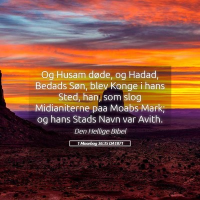 Picture 05 - 1 Mosebog 36:35 DA1871 - Og Husam døde, og Hadad, Bedads Søn, blev Konge - Bible Verse Picture