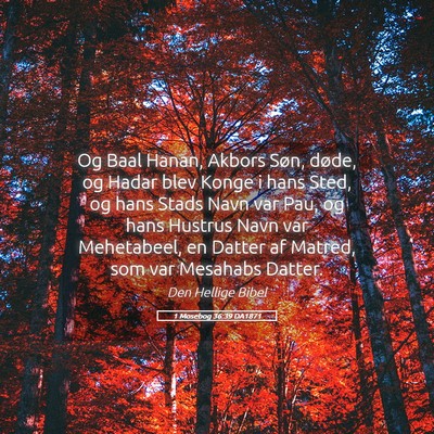 Picture 05 - 1 Mosebog 36:39 DA1871 - Og Baal Hanan, Akbors Søn, døde, og Hadar blev - Bible Verse Picture