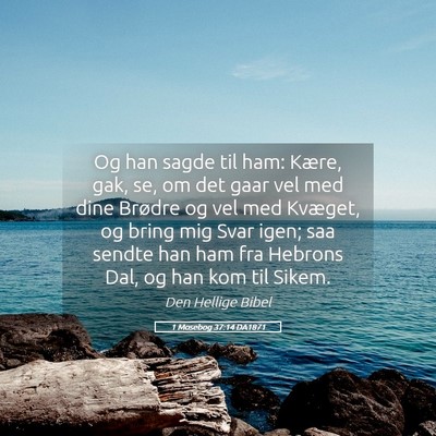 Picture 05 - 1 Mosebog 37:14 DA1871 - Og han sagde til ham: Kære, gak, se, om det gaar - Bible Verse Picture