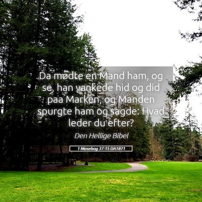 Picture 05 - 1 Mosebog 37:15 DA1871 - Da mødte en Mand ham, og se, han vankede hid og - Bible Verse Picture
