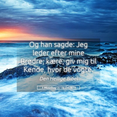 Picture 05 - 1 Mosebog 37:16 DA1871 - Og han sagde: Jeg leder efter mine Brødre; - Bible Verse Picture