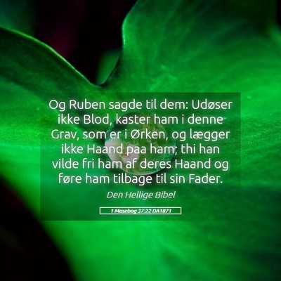 Picture 05 - 1 Mosebog 37:22 DA1871 - Og Ruben sagde til dem: Udøser ikke Blod, kaster - Bible Verse Picture