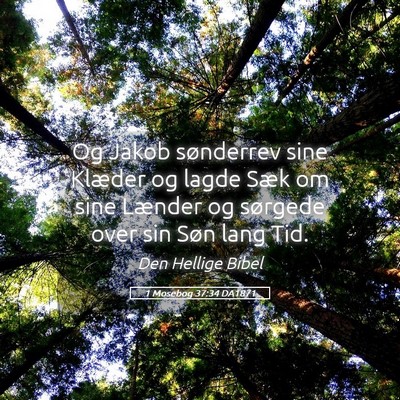 Picture 05 - 1 Mosebog 37:34 DA1871 - Og Jakob sønderrev sine Klæder og lagde Sæk om - Bible Verse Picture