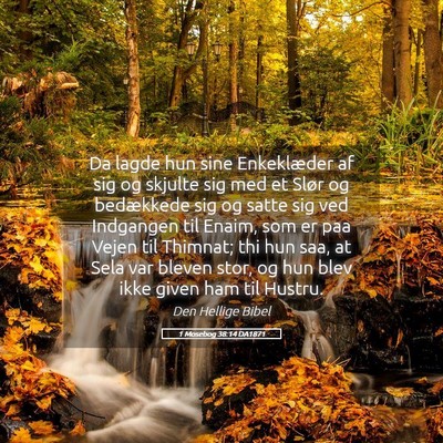 Picture 05 - 1 Mosebog 38:14 DA1871 - Da lagde hun sine Enkeklæder af sig og skjulte - Bible Verse Picture