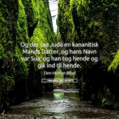 Picture 05 - 1 Mosebog 38:2 DA1871 - Og der saa Juda en kananitisk Mands Datter, og - Bible Verse Picture