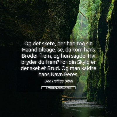 Picture 05 - 1 Mosebog 38:29 DA1871 - Og det skete, der han tog sin Haand tilbage, se, - Bible Verse Picture