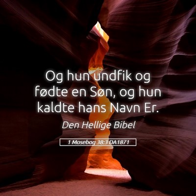Picture 05 - 1 Mosebog 38:3 DA1871 - Og hun undfik og fødte en Søn, og hun kaldte - Bible Verse Picture